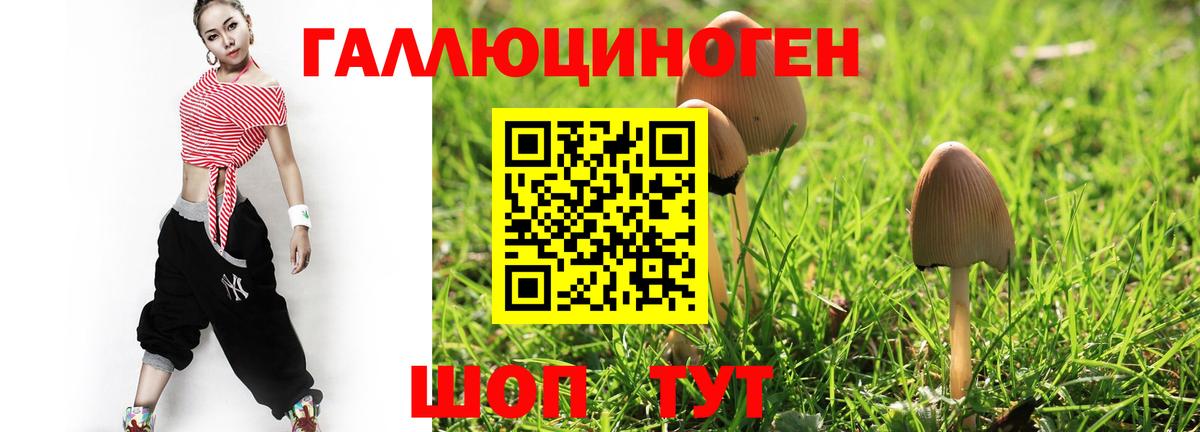 Псилоцибиновые грибы прущие грибы Фрязино